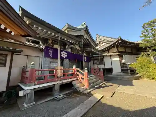 本光寺の{uncategorized: "未分類", other: "その他", undefined: "問題あり", building: "その他建物", grave: "お墓", sacred_gate: "鳥居", guardian: "狛犬", statue: "像", buddha: "仏像", history: "歴史", nature: "自然", garden: "庭園", animal: "動物", pagoda: "塔", temizu: "手水舎", mountain_gate: "山門・神門", sanctuary: "本殿・本堂", subordinate: "末社・摂社", art: "芸術", scenery: "景色", jizo: "地蔵", ema: "絵馬", goshuin: "御朱印", omikuji: "おみくじ", items: "授与品その他", amulet: "お守り", goshuincho: "御朱印帳", eats: "食事", festival: "お祭り", votive_dance: "神楽", shichigosan: "七五三参", wedding: "結婚式", experience: "体験その他", initially: "初詣", around: "周辺", anti_infection: "感染症対策"}