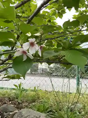 生蓮寺 跡(岐阜県)