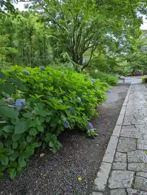 本法寺(京都府)