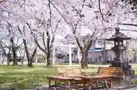 守りの神 藤基神社(新潟県)