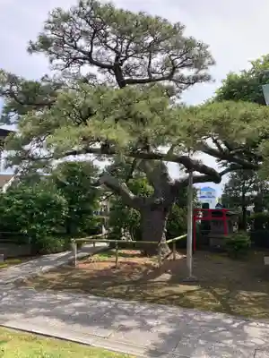 安立寺(神奈川県)
