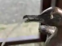 宇波西神社の手水舎