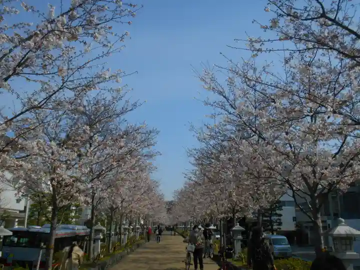 鶴岡八幡宮の周辺