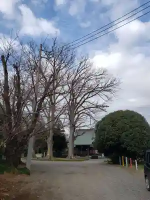 妙楽寺のその他建物