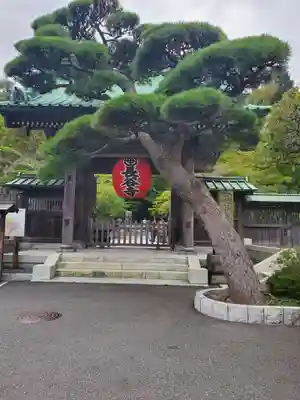 長谷寺の山門・神門