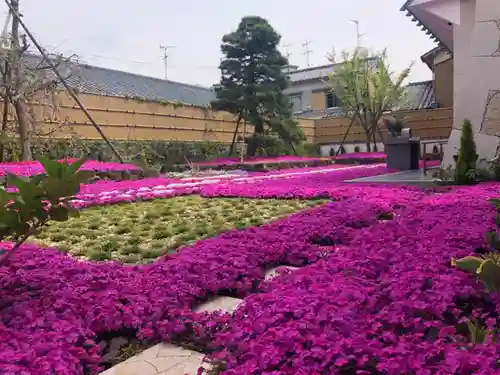 寿量山　速成寺の庭園