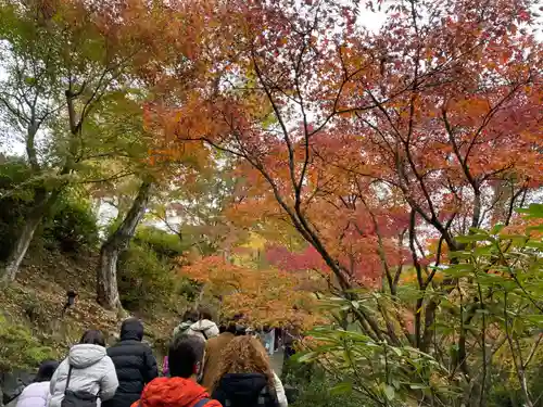 東福禅寺（東福寺）(京都府)