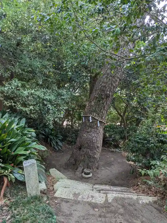 第六天神社(神奈川県)