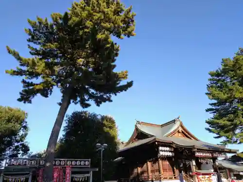 中野沼袋氷川神社(東京都)
