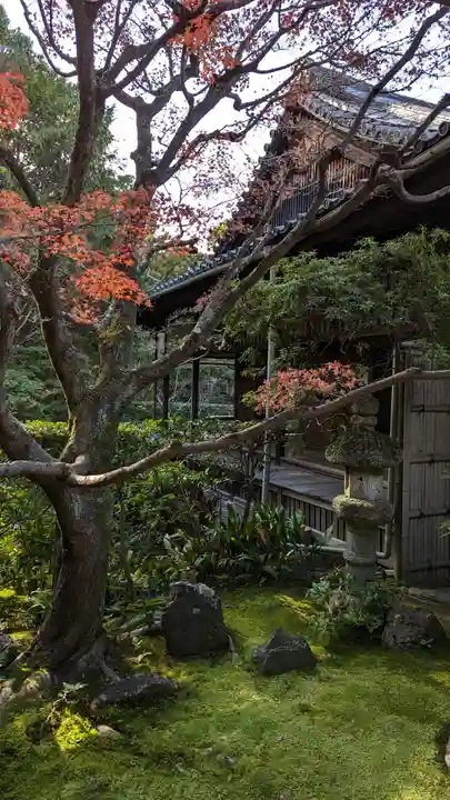 桂春院(京都府)