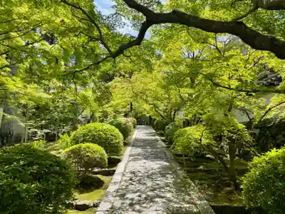 酬恩庵一休寺(京都府)