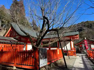 金櫻神社(山梨県)