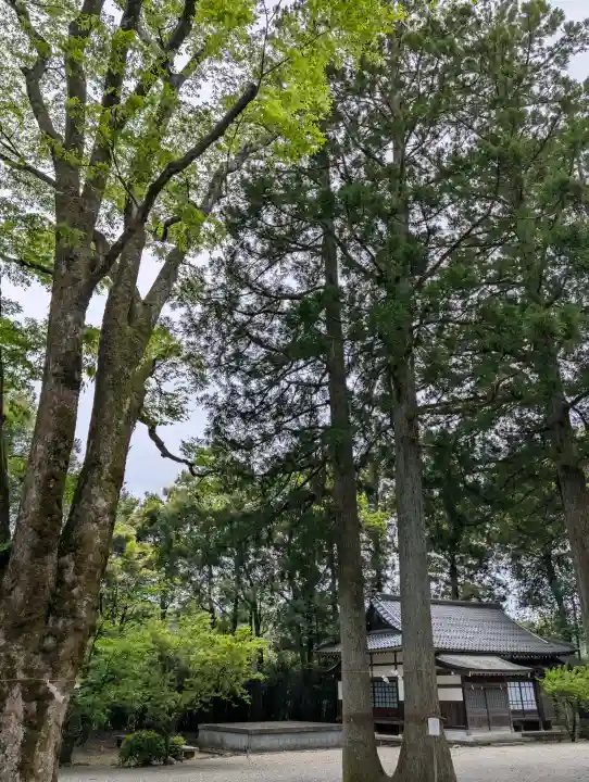 雄山神社峰本社の{uncategorized: "未分類", other: "その他", undefined: "問題あり", building: "その他建物", grave: "お墓", sacred_gate: "鳥居", guardian: "狛犬", statue: "像", buddha: "仏像", history: "歴史", nature: "自然", garden: "庭園", animal: "動物", pagoda: "塔", temizu: "手水舎", mountain_gate: "山門・神門", sanctuary: "本殿・本堂", subordinate: "末社・摂社", art: "芸術", scenery: "景色", jizo: "地蔵", ema: "絵馬", goshuin: "御朱印", omikuji: "おみくじ", items: "授与品その他", amulet: "お守り", goshuincho: "御朱印帳", eats: "食事", festival: "お祭り", votive_dance: "神楽", shichigosan: "七五三参", wedding: "結婚式", experience: "体験その他", initially: "初詣", around: "周辺", anti_infection: "感染症対策"}