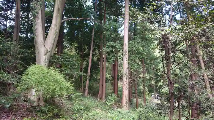 南大沢八幡神社の周辺