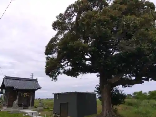 比咩神社の{uncategorized: "未分類", other: "その他", undefined: "問題あり", building: "その他建物", grave: "お墓", sacred_gate: "鳥居", guardian: "狛犬", statue: "像", buddha: "仏像", history: "歴史", nature: "自然", garden: "庭園", animal: "動物", pagoda: "塔", temizu: "手水舎", mountain_gate: "山門・神門", sanctuary: "本殿・本堂", subordinate: "末社・摂社", art: "芸術", scenery: "景色", jizo: "地蔵", ema: "絵馬", goshuin: "御朱印", omikuji: "おみくじ", items: "授与品その他", amulet: "お守り", goshuincho: "御朱印帳", eats: "食事", festival: "お祭り", votive_dance: "神楽", shichigosan: "七五三参", wedding: "結婚式", experience: "体験その他", initially: "初詣", around: "周辺", anti_infection: "感染症対策"}
