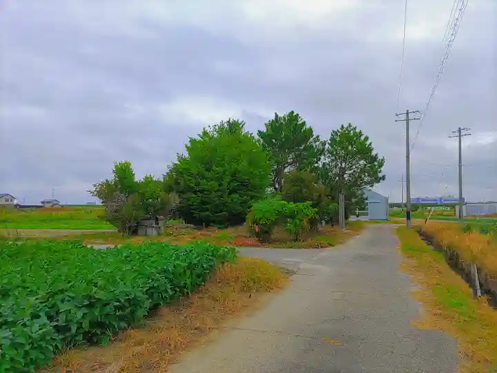 秋葉社(平坂町)の自然