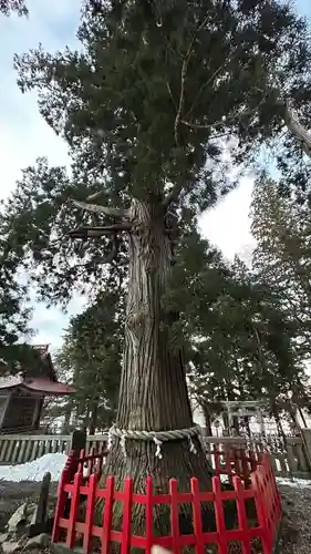 志和古稲荷神社(岩手県)
