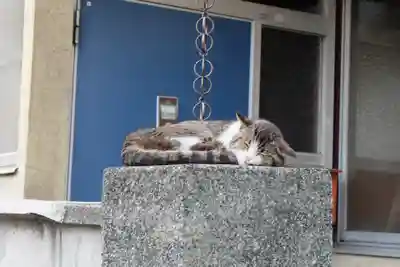 医王寺(広島県)