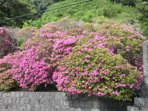 安養院　(田代寺）(神奈川県)
