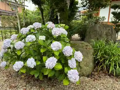 美奈宜神社(福岡県)