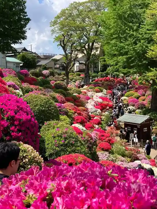 根津神社(東京都)