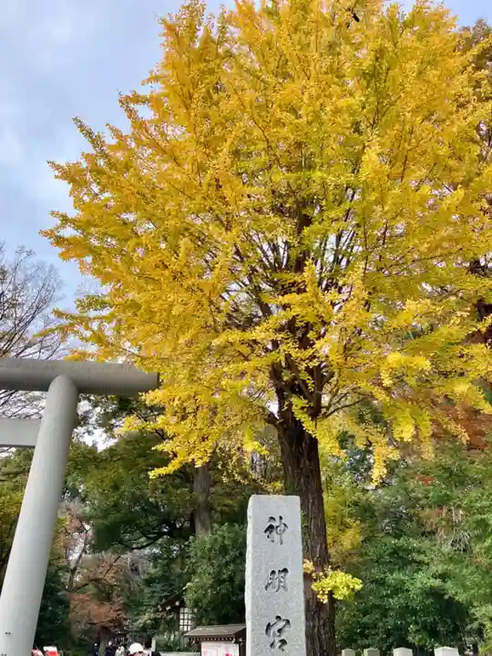 阿佐ヶ谷神明宮の自然