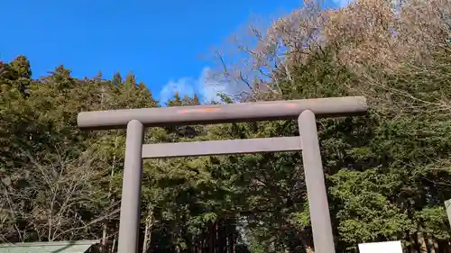 北海道神宮の鳥居