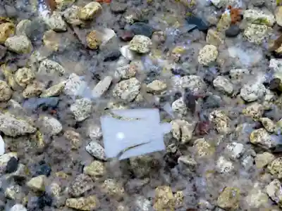 川越氷川神社のその他建物