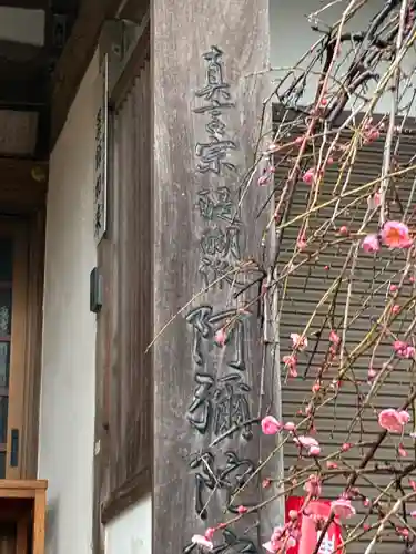 阿弥陀院の本殿・本堂