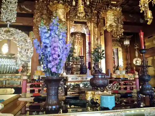 雨竜　専福寺(北海道)