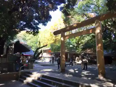 乃木神社の鳥居