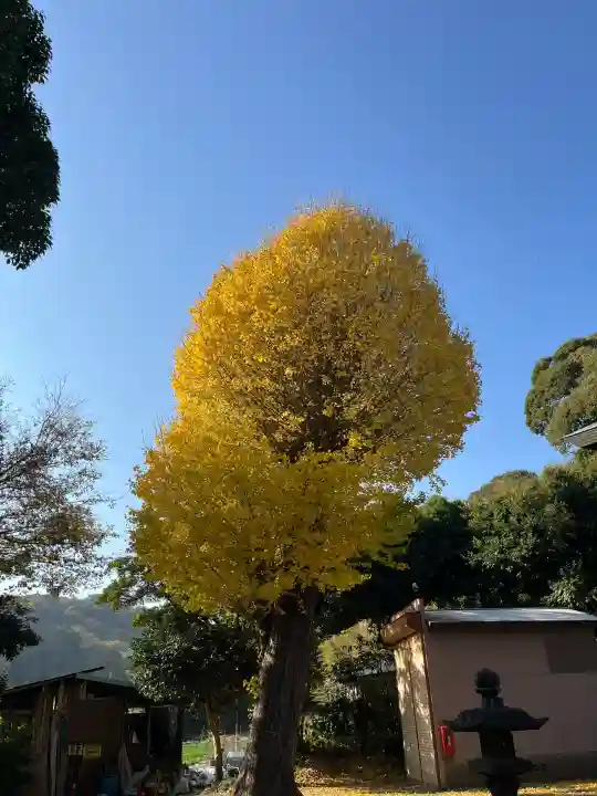 三浦正八幡宮(神奈川県)