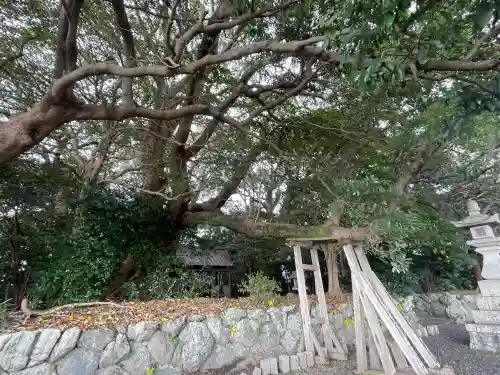 御薗神社の{uncategorized: "未分類", other: "その他", undefined: "問題あり", building: "その他建物", grave: "お墓", sacred_gate: "鳥居", guardian: "狛犬", statue: "像", buddha: "仏像", history: "歴史", nature: "自然", garden: "庭園", animal: "動物", pagoda: "塔", temizu: "手水舎", mountain_gate: "山門・神門", sanctuary: "本殿・本堂", subordinate: "末社・摂社", art: "芸術", scenery: "景色", jizo: "地蔵", ema: "絵馬", goshuin: "御朱印", omikuji: "おみくじ", items: "授与品その他", amulet: "お守り", goshuincho: "御朱印帳", eats: "食事", festival: "お祭り", votive_dance: "神楽", shichigosan: "七五三参", wedding: "結婚式", experience: "体験その他", initially: "初詣", around: "周辺", anti_infection: "感染症対策"}