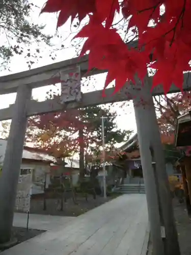 彌彦神社　(伊夜日子神社)の鳥居