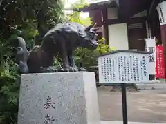 稲毛神社(神奈川県)