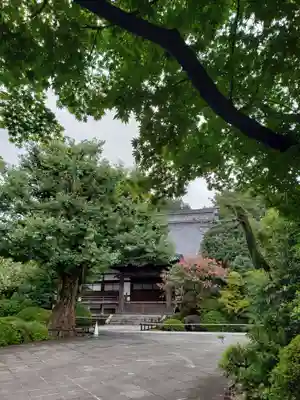 高円寺の本殿・本堂