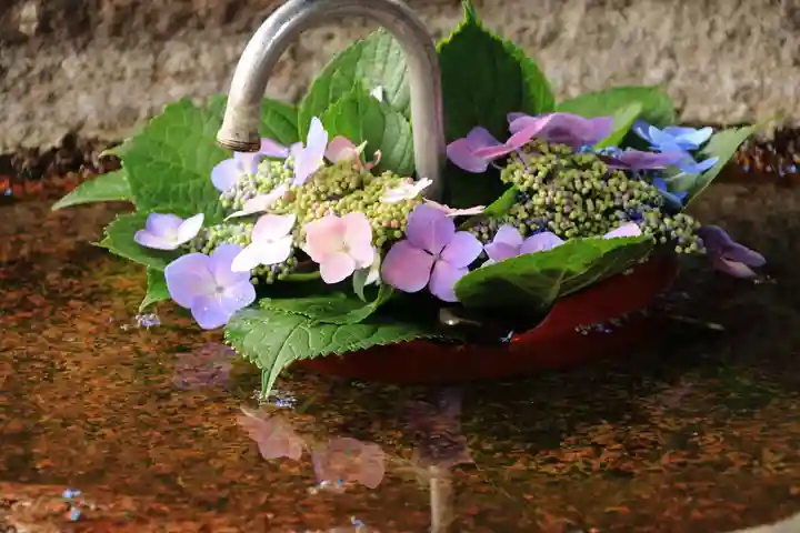 愛宕神社の手水舎