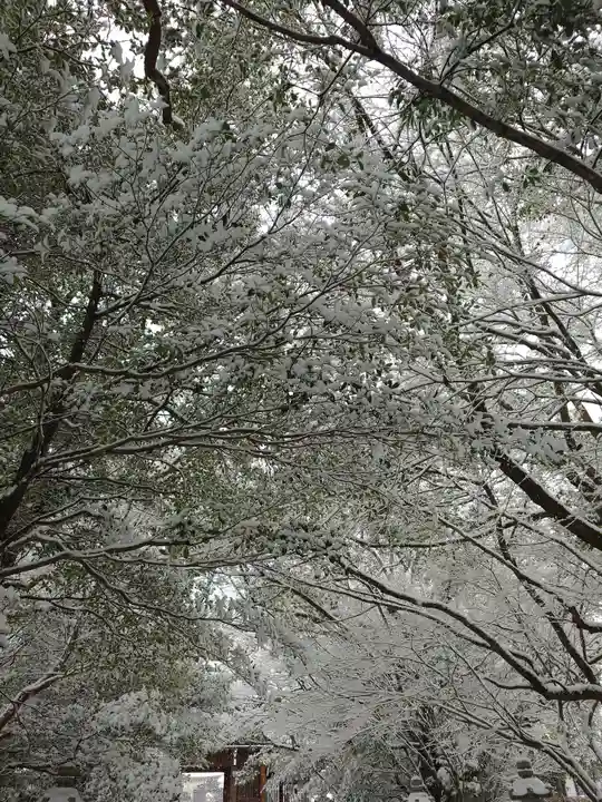 速谷神社(広島県)