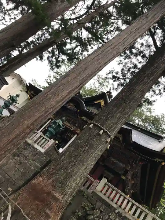 三峯神社(埼玉県)