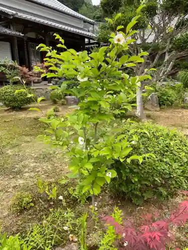 禅定寺(京都府)