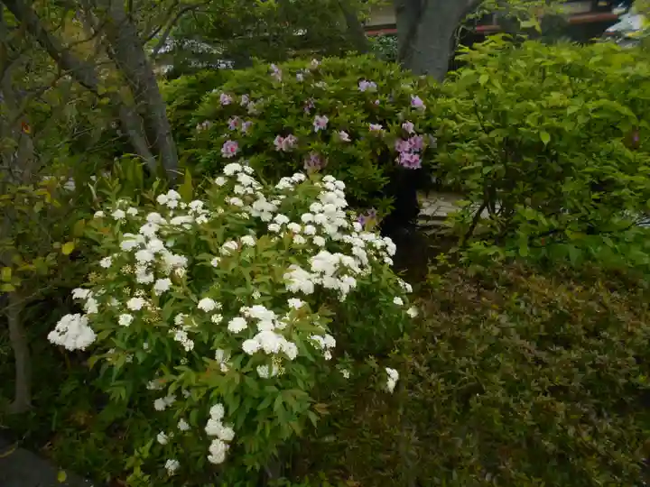 明王院の庭園