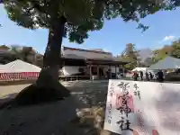 鷲宮神社の御朱印