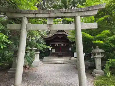 長浜八幡宮(滋賀県)