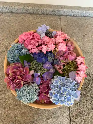 彌都加伎神社の自然