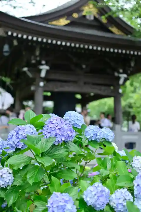 妙楽寺(神奈川県)
