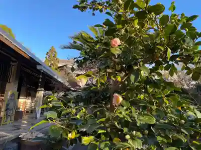 伊勢の国 四天王寺(三重県)