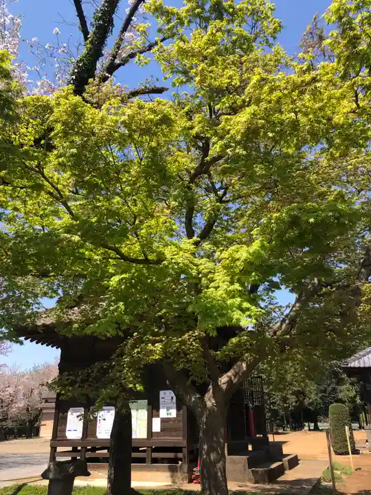 伏木香取神社の自然