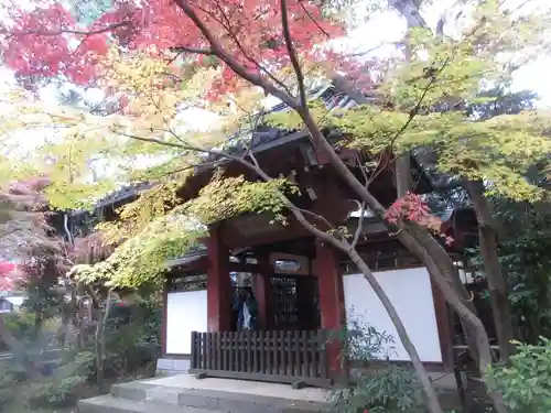 本土寺の山門・神門