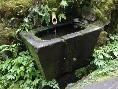戸隠神社宝光社(長野県)
