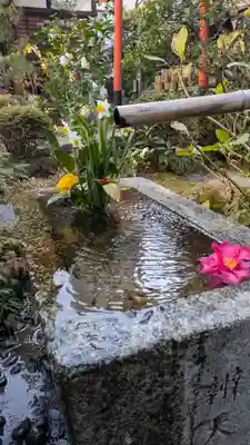 宝蔵寺(京都府)